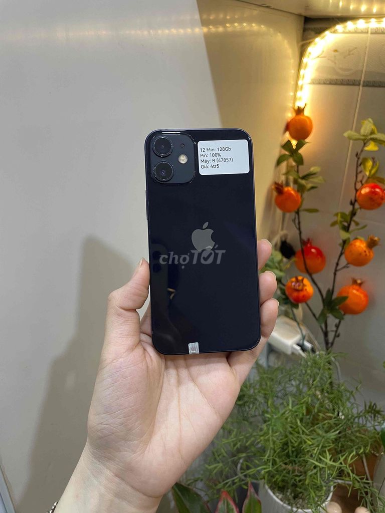 iPhone 12 Mini 128Gb Đen KH/A QT Zin đẹp 98. Mua bán Điện thoại tại Huyện Hóc Môn Tp Hồ Chí Minh được đăng bởi SIRI STORE HCM hình 1
