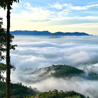 Bán đất SHR 168m2 (75m2 TC) QL 20, Di Linh, Lâm Đồng, giá 836tr TL. Mua bán đất tại Huyện Di Linh Lâm Đồng được đăng bởi Shin Nguyễn