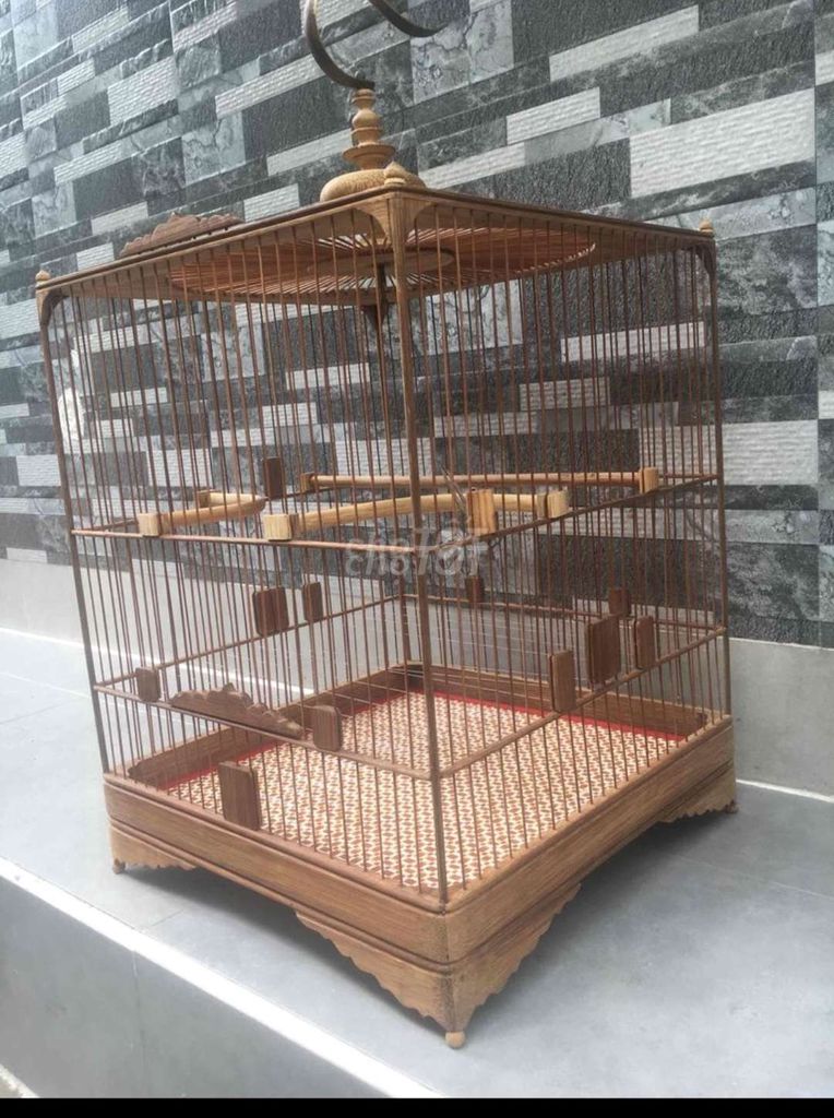 Lồng vuông chào mào bán hoặc giao lưu chào mào