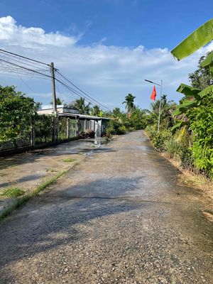 BÁN 2800m2 ĐẤT VƯỜN THUỘC TUYẾN ĐÊ BAO NHƠN ÁI - PHONG ĐIỀN. Mua bán đất tại Huyện Phong Điền Cần Thơ được đăng bởi Tô Phú Đa