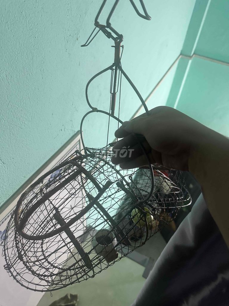 Lụp bẫy chim Mỹ Phước 3 6x Kim loại. Mua bán Phụ kiện, Thức ăn, Dịch vụ tại Thị xã Bến Cát Bình Dương được đăng bởi nguyễn  hình 1