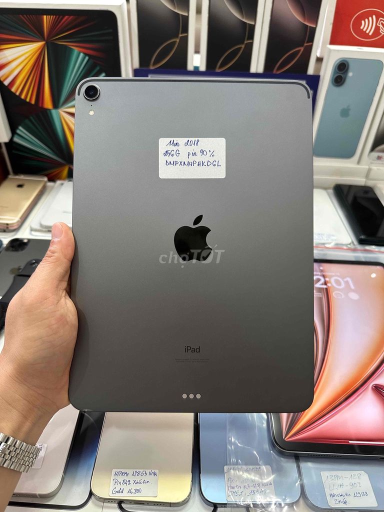 Ipad Pro 11 inch 256Gb Sx 2019 Zin nguyên con