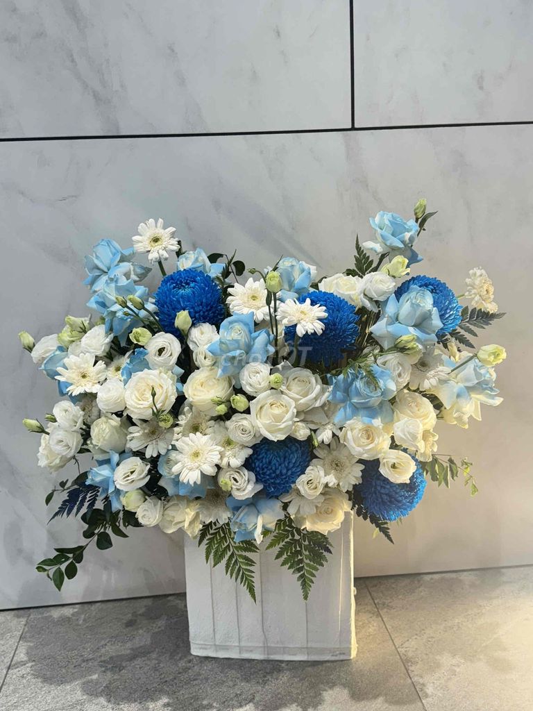 Lẵng hoa tươi Quà tặng, trang trí. Mua bán Cây cảnh, đồ trang trí tại Quận Cầu Giấy Hà Nội được đăng bởi Linh hình 1