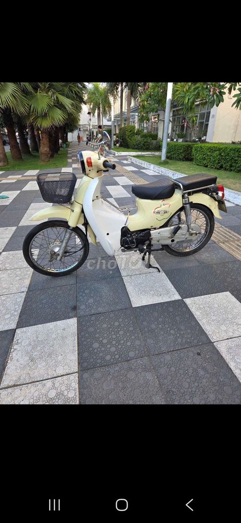 Honda Cub 50cc 2017 желто-кремовый
