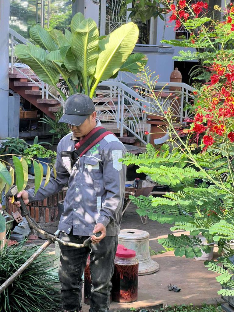 Chăm sóc sân vườn TP.Buôn Ma Thuột. Dịch vụ tại Thành phố Buôn Ma Thuột Đắk Lắk được đăng bởi thanh cong hình 1