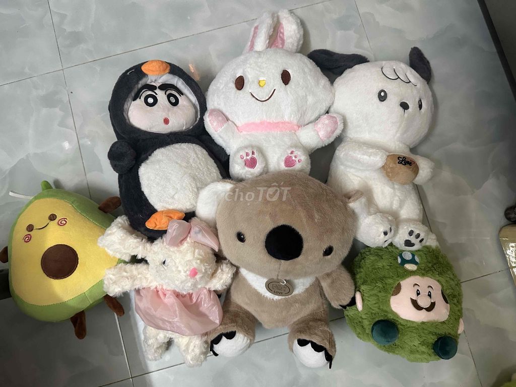 Gấu bông vải bông nhiều màu. Mua bán Sở thích khác tại Thành phố Biên Hòa Đồng Nai được đăng bởi Bình hình 1