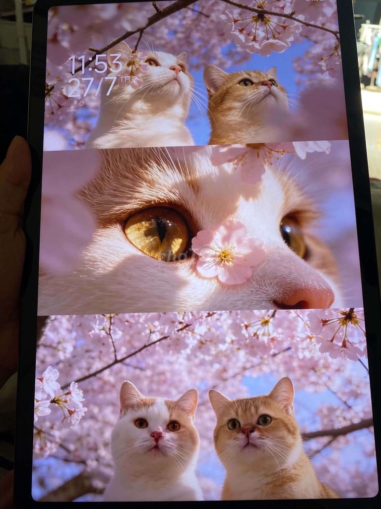 Xiaomi Redmi Pad Pro 128GB Xám. Mua bán Máy tính bảng tại Thành phố Thủ Đức Tp Hồ Chí Minh được đăng bởi Huỳnh Nguyễn Yến Vy hình 1