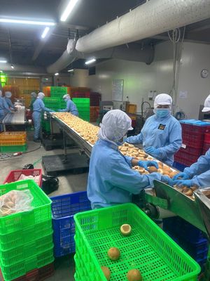 Tuyển dụng LĐPT sản xuất bánh mì, ứng lương ngày