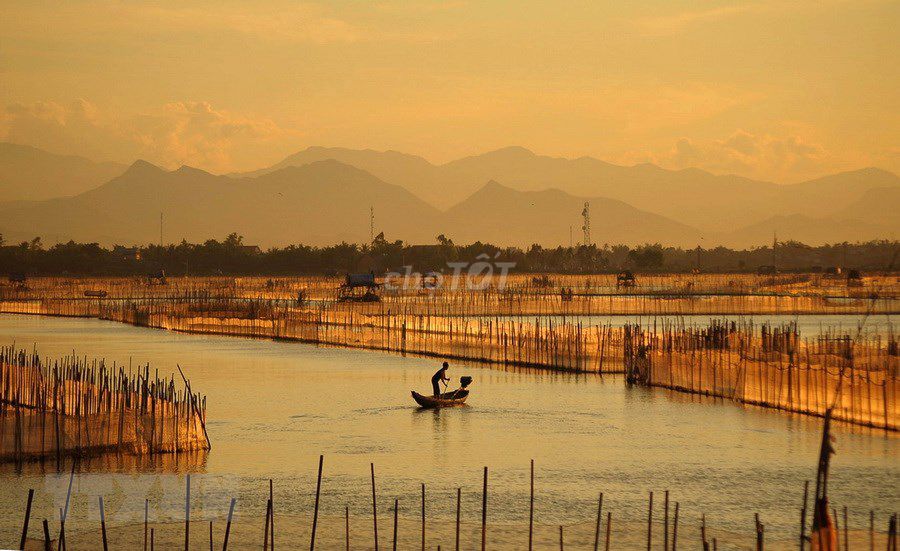 🏄‍♀️ TOUR CHIỀU PHÁ TAM GIANG