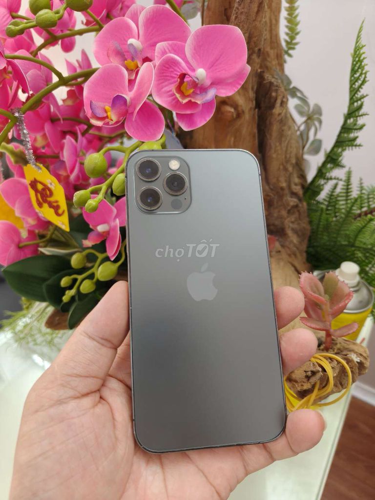 Apple iPhone 12 Pro 256gb quốc tế. Mua bán Điện thoại tại Thành phố Buôn Ma Thuột Đắk Lắk được đăng bởi Tèo Điện Thoại  hình 1