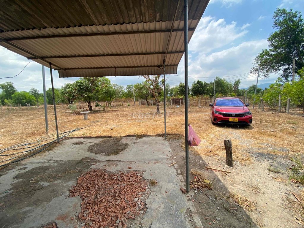 Đất xuân hưng 4600 m2