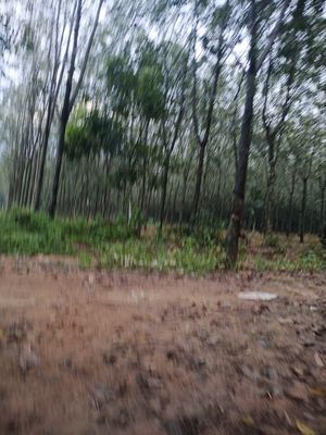 Máy cày Iseki TS 3110 một cầu. Mua bán Phương tiện khác tại Thị xã Tân Uyên Bình Dương được đăng bởi Tên chưa cung cấp