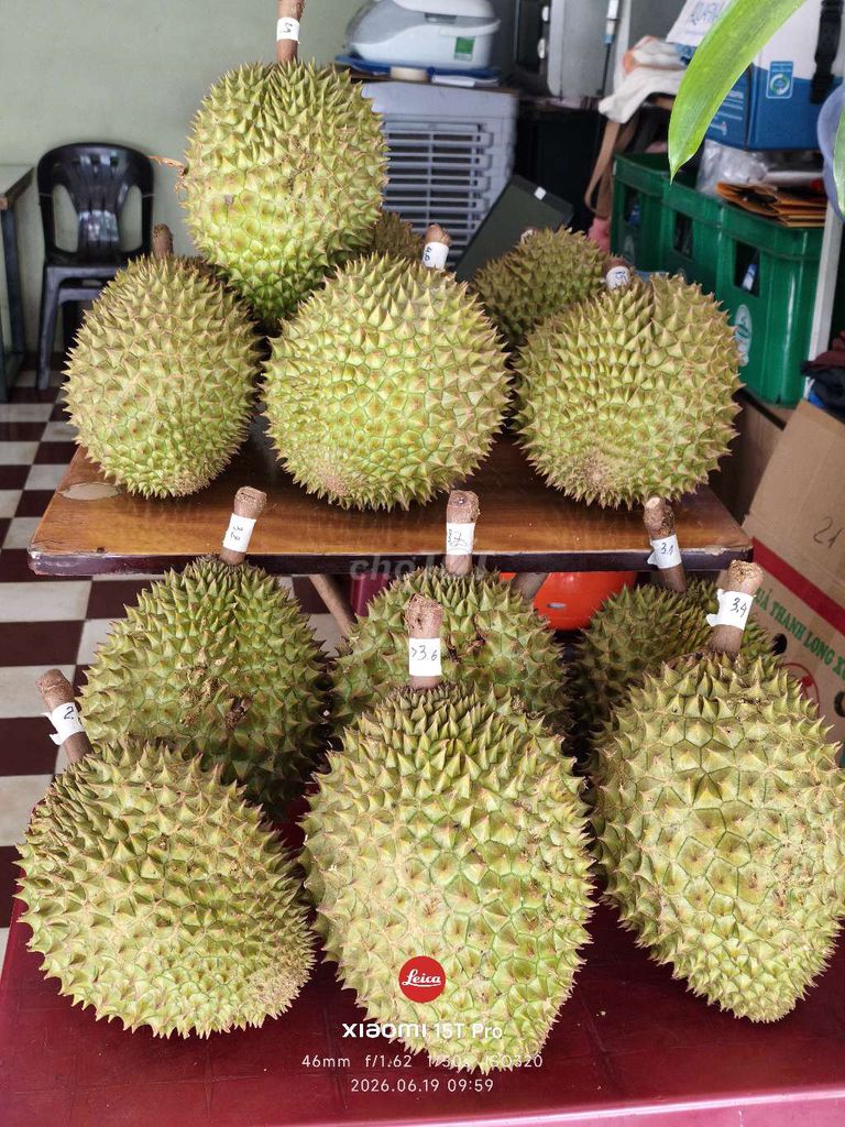 Sầu riêng Ri6 Bình Phước Loại 1. Mua bán Đồ ăn, thực phẩm và các loại khác tại Quận Hải Châu Đà Nẵng được đăng bởi Dì Bé Fruits hình 1