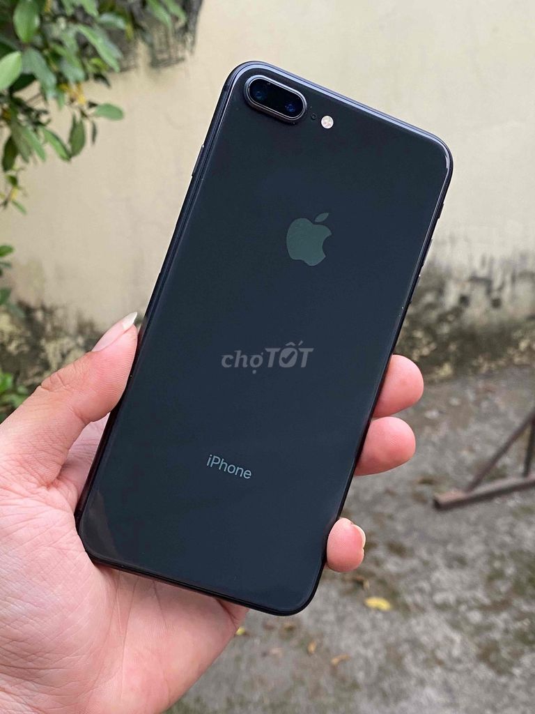 8 Plus 64GB quốc tế zin pin 100