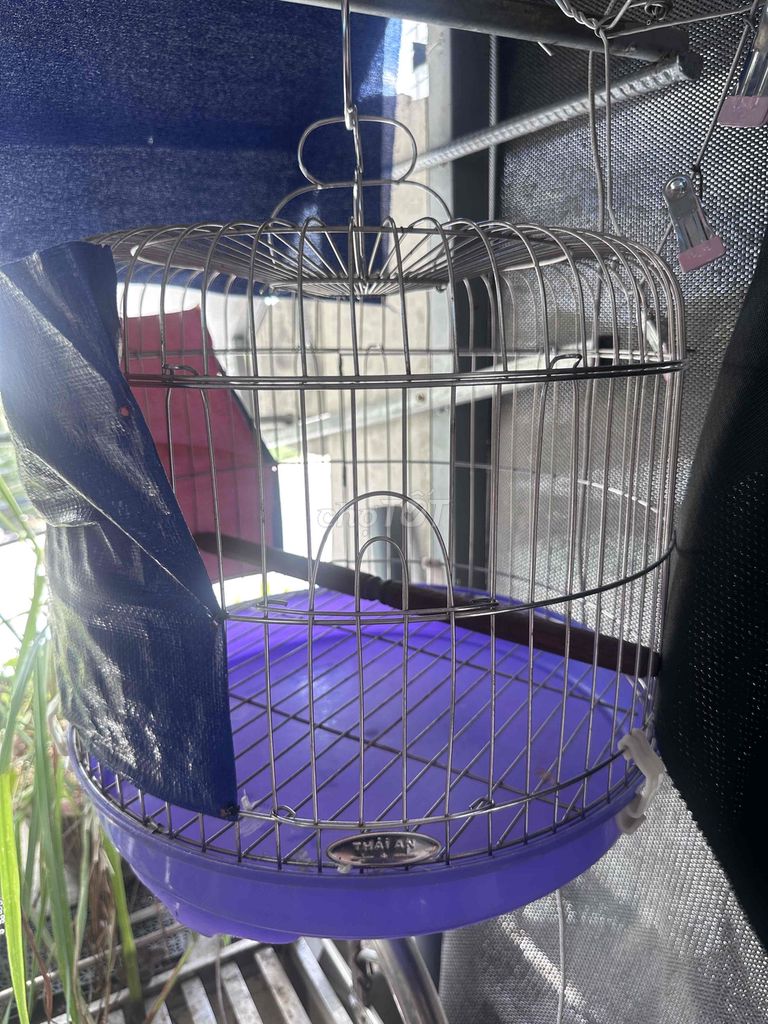 Lồng chim Thái An Inox Rất mới. Mua bán Phụ kiện, Thức ăn, Dịch vụ tại Huyện Bến Lức Long An được đăng bởi TÚ HUỲNH hình 1