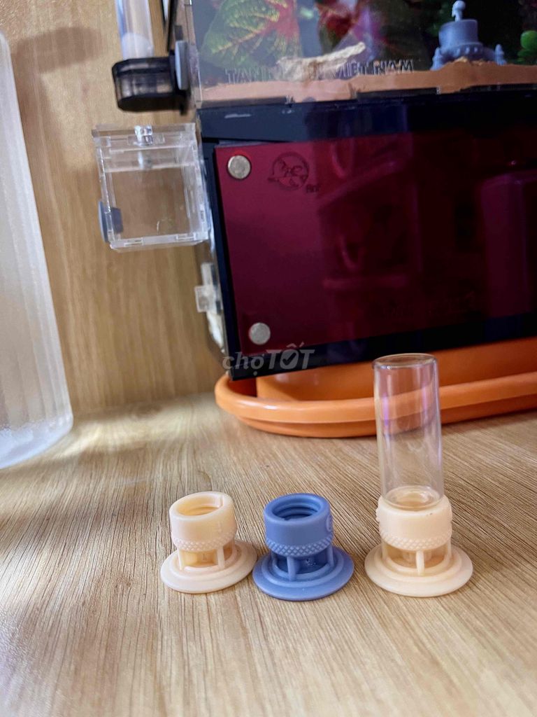 Thanh lý tank + kiến