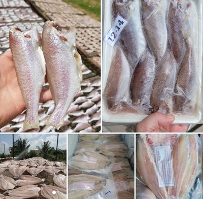 Khô cá dứa 1 nắng & khô cá lù đù 1 nắng.. Mua bán Đồ ăn, thực phẩm và các loại khác tại Quận 8 Tp Hồ Chí Minh được đăng bởi La Thị Minh Nguyệt