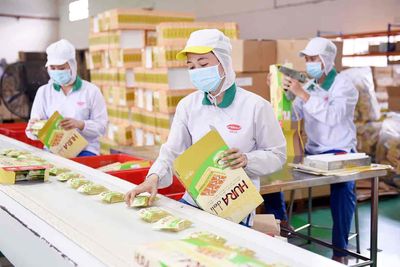 /viec-lam-quan-12-tp-ho-chi-minh/123567838.htm#px=SR-stickyad-[PO-9][PL-top]?i=0