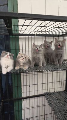 Ngoannn xinhhh iu tìm ng thương ạ😘