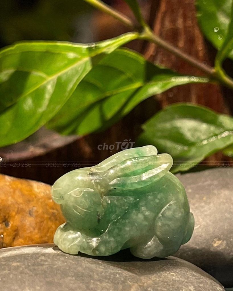 Linh vật phong thủy Thỏ mini Ngọc Xanh. Mua bán Sở thích khác tại Quận Ba Đình Hà Nội được đăng bởi Van Vi hình 1