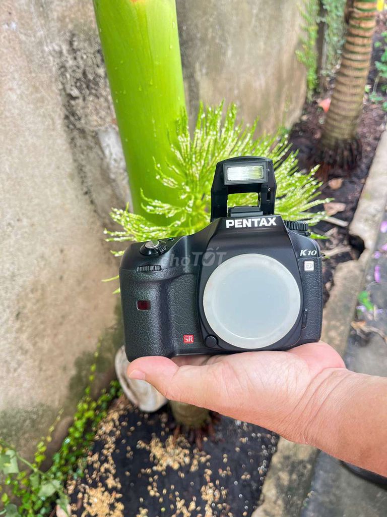 PENTAX K10D và LENS SMC PENTAX-FA 50mm F1.7. Mua bán Máy ảnh, Máy quay tại Thành phố Thủ Đức Tp Hồ Chí Minh được đăng bởi Quang Thang hình 1