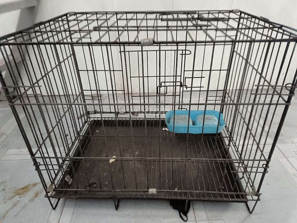 Lồng vận chuyển chó mèo Size M hàng mới. Mua bán Phụ kiện, Thức ăn, Dịch vụ tại Quận Bình Thạnh Tp Hồ Chí Minh được đăng bởi Vy hình 1