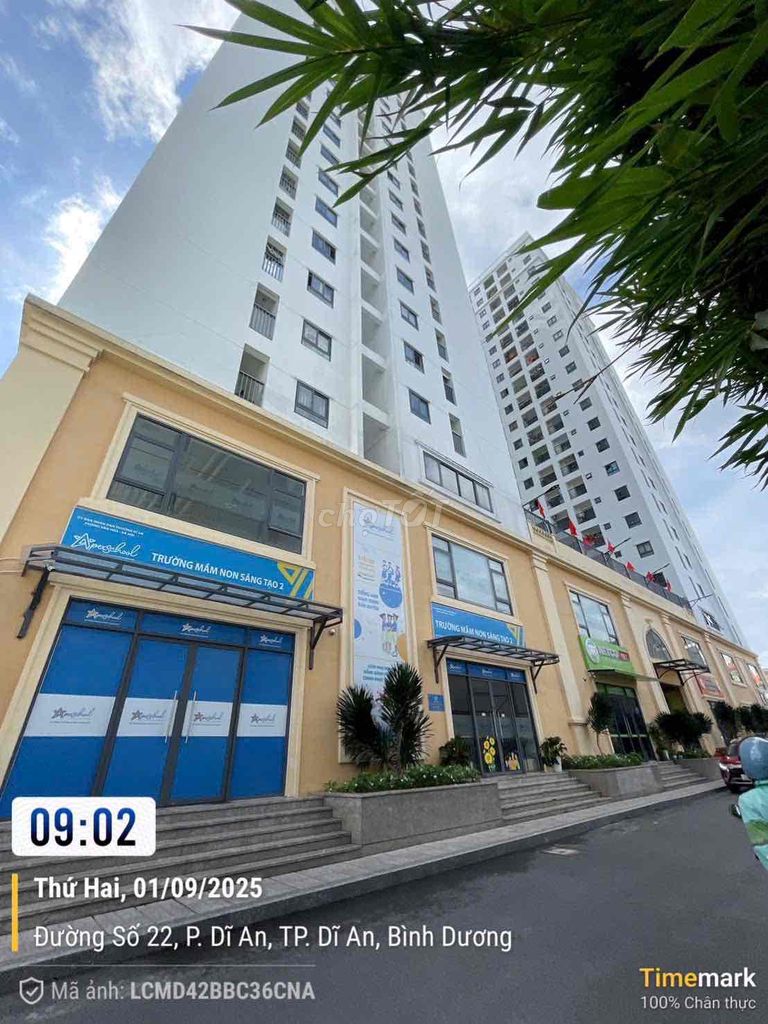 CẦN BÁN CĂN 2 PHÒNG NGỦ STOWN PHÚC AN, SÁT VINCOM, SỔ SẴN N3, Phường Dĩ An, Thành phố Dĩ An, Bình Dương Thành phố Dĩ An Bình Dương