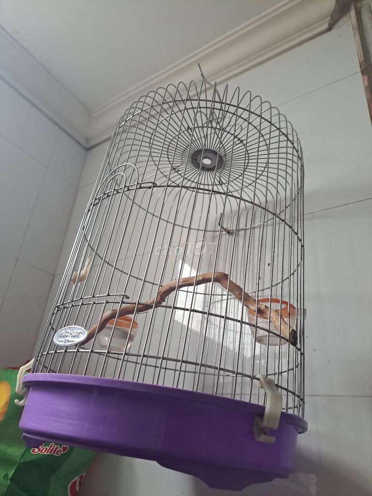 Lồng chim Kim loại nhựa Tím bạc Rộng 30cm. Mua bán Phụ kiện, Thức ăn, Dịch vụ tại Quận Bắc Từ Liêm Hà Nội được đăng bởi Đặng Bùi Gia huy  hình 1