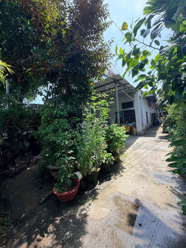Bán 202m2  đất tặng dãy trọ 4 phòng kiệt oto Tô Hiệu