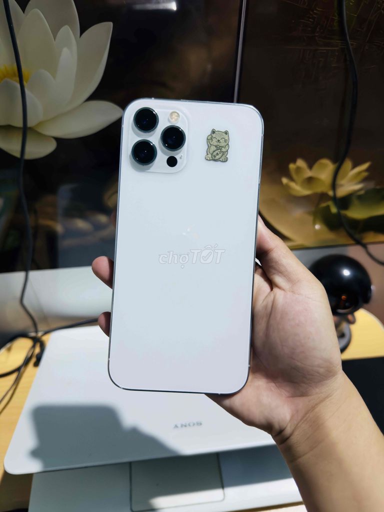 iPhone 12 Pro Max 128GB Trắng Đã dùng. Mua bán Điện thoại tại Thị xã Phú Mỹ Bà Rịa - Vũng Tàu được đăng bởi Bi Táo hình 1
