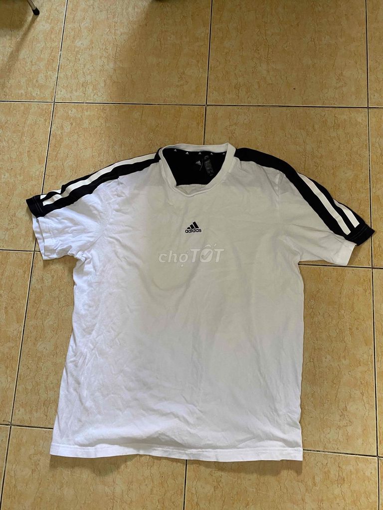 Áo thun thể thao Adidas nam Cotton Trắng XL. Mua bán Quần áo tại Quận 5 Tp Hồ Chí Minh được đăng bởi Thuần hình 1