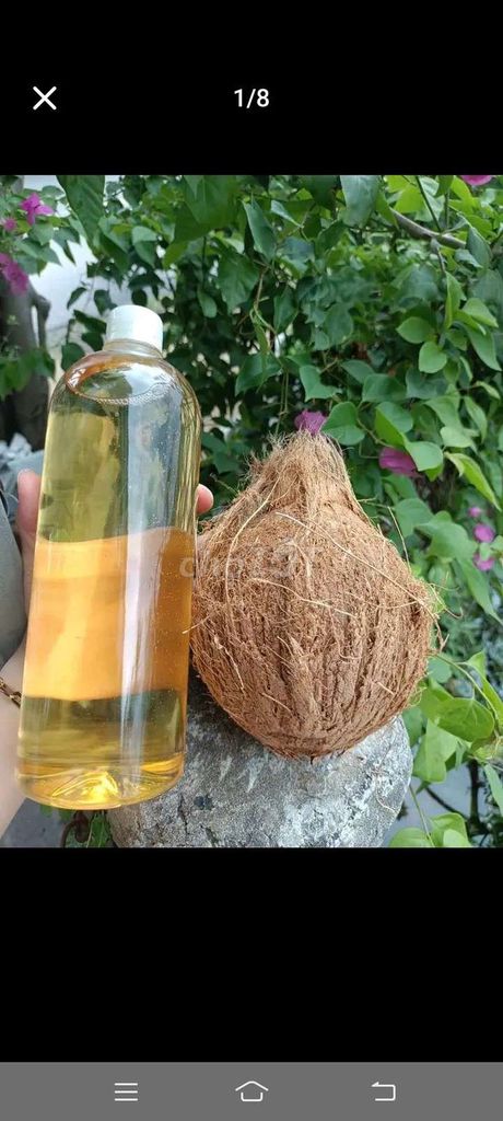 Dầu dừa nguyên chất nhà làm. Mua bán Đồ ăn, thực phẩm và các loại khác tại Huyện Giang Thành Kiên Giang được đăng bởi Linh nhi hình 1