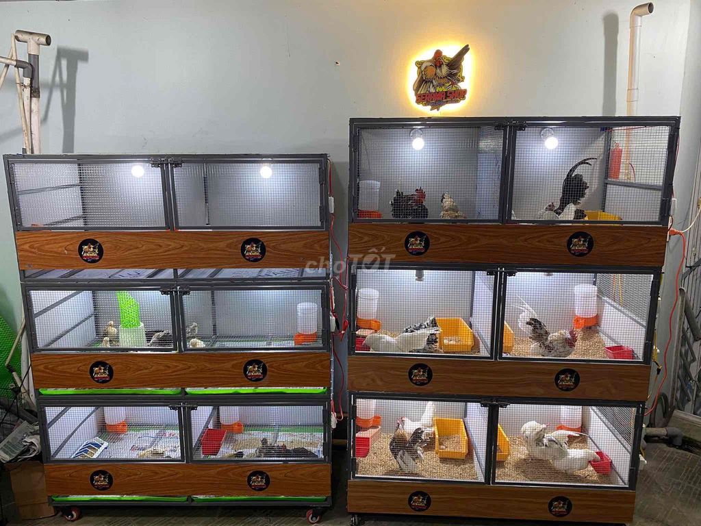 Chuồng gà kim loại gỗ 120x60cm. Mua bán Phụ kiện, Thức ăn, Dịch vụ tại Quận 3 Tp Hồ Chí Minh được đăng bởi Trung Kid Serama hình 1