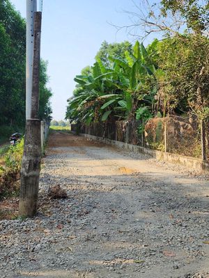 Đất gần KCN Phước Đông ✅ Diện tích: 10.155 m² (có sẵn 100m² thổ cư). Mua bán đất tại Huyện Trảng Bàng Tây Ninh được đăng bởi Nguyễn Nga 
