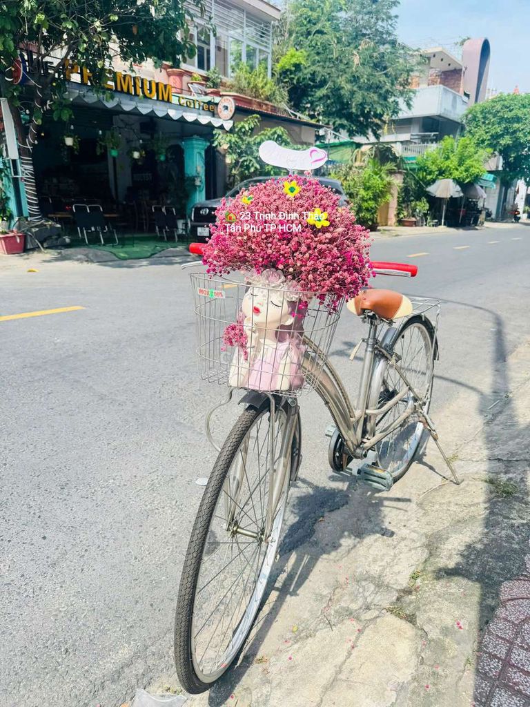 Xe đạp Thống Nhất 26 inch Bạc. Mua bán Xe đạp tại Quận Tân Phú Tp Hồ Chí Minh được đăng bởi Gốm Sứ Hà Thành hình 3