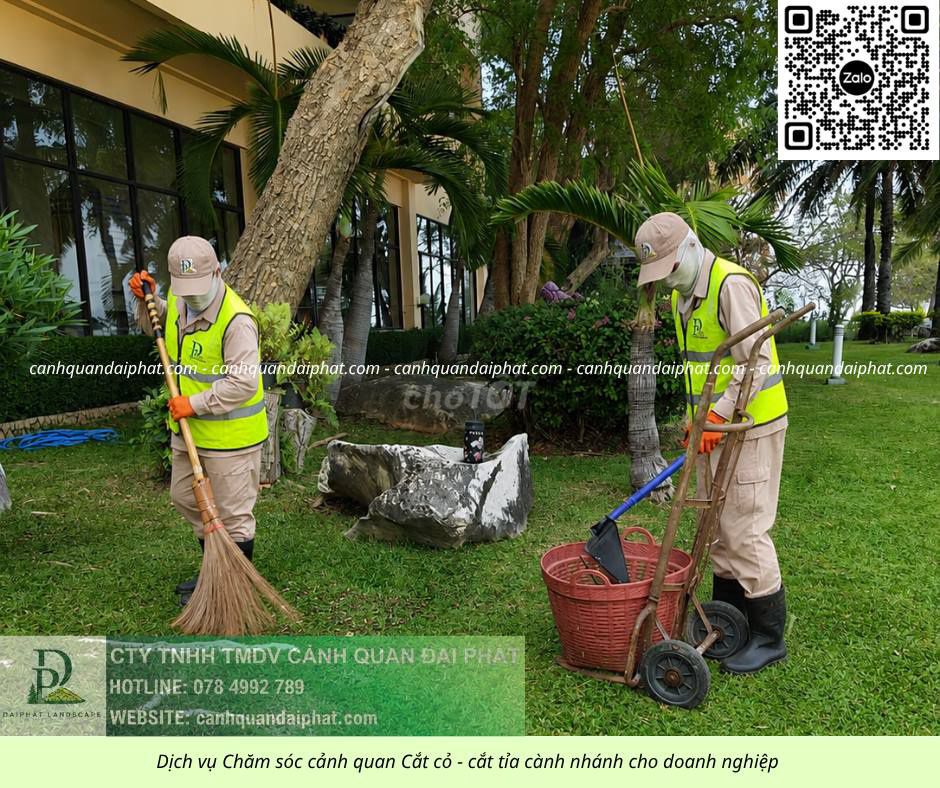 Dịch vụ Chăm sóc cảnh quan Đồng Nai. Dịch vụ tại Huyện Long Thành Đồng Nai được đăng bởi Cảnh quan Đại Phát hình 1