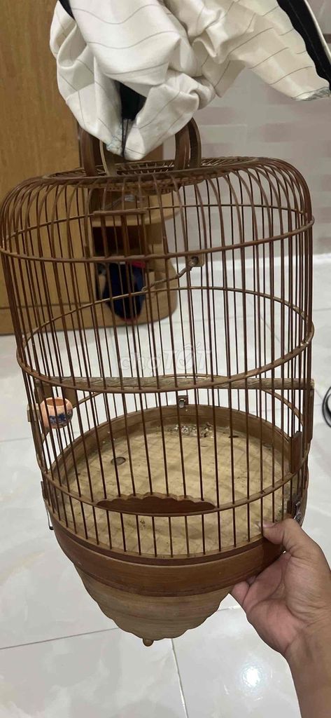 Lồng chim Tre Nâu Còn mới. Mua bán Phụ kiện, Thức ăn, Dịch vụ tại Thành phố Dĩ An Bình Dương được đăng bởi Trọng Văn hình 1