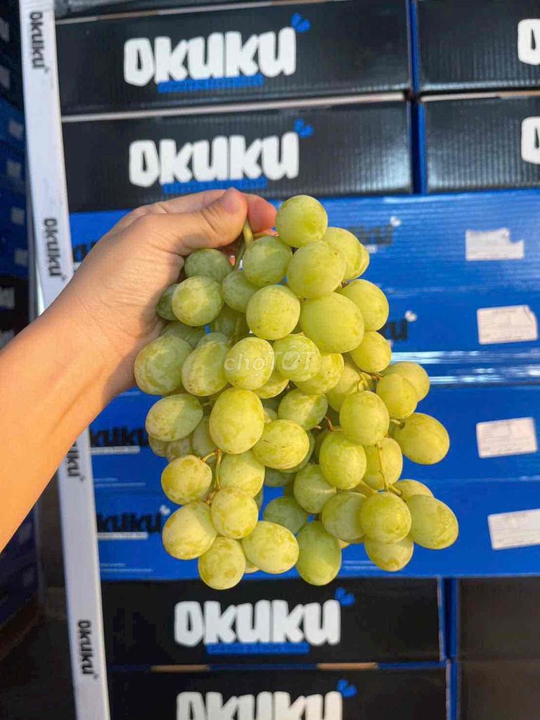 Nho Sweet Globe Xanh Úc. Mua bán Đồ ăn, thực phẩm và các loại khác tại Quận 12 Tp Hồ Chí Minh được đăng bởi Nam Lê hình 1