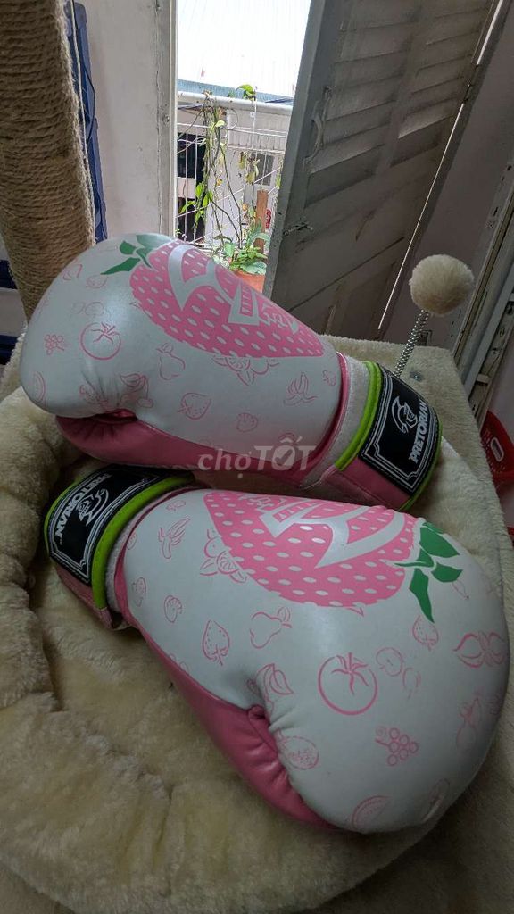 Găng tay boxing Pretorian Nữ Hồng, Trắng. Mua bán Đồ thể thao, Dã ngoại tại Quận 1 Tp Hồ Chí Minh được đăng bởi Hiền hình 1