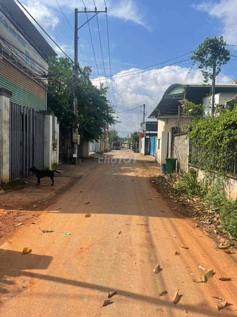 Đất mặt tiền T2. Sân bay Long Thành. Mua bán đất tại Huyện Long Thành Đồng Nai được đăng bởi NGUYỄN THANH CHÍNH hình 3