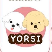 YORSI BICHON HOUSE