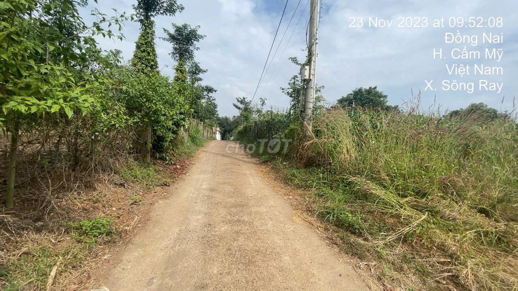 Ngân hàng thanh lý 2020,6m2 100m2 đất ở, vuông vắn giá tốt (Ms Dương). Mua bán đất tại Huyện Cẩm Mỹ Đồng Nai được đăng bởi Dương Chuyên tài sản Thanh lý Ngân hàng hình 4