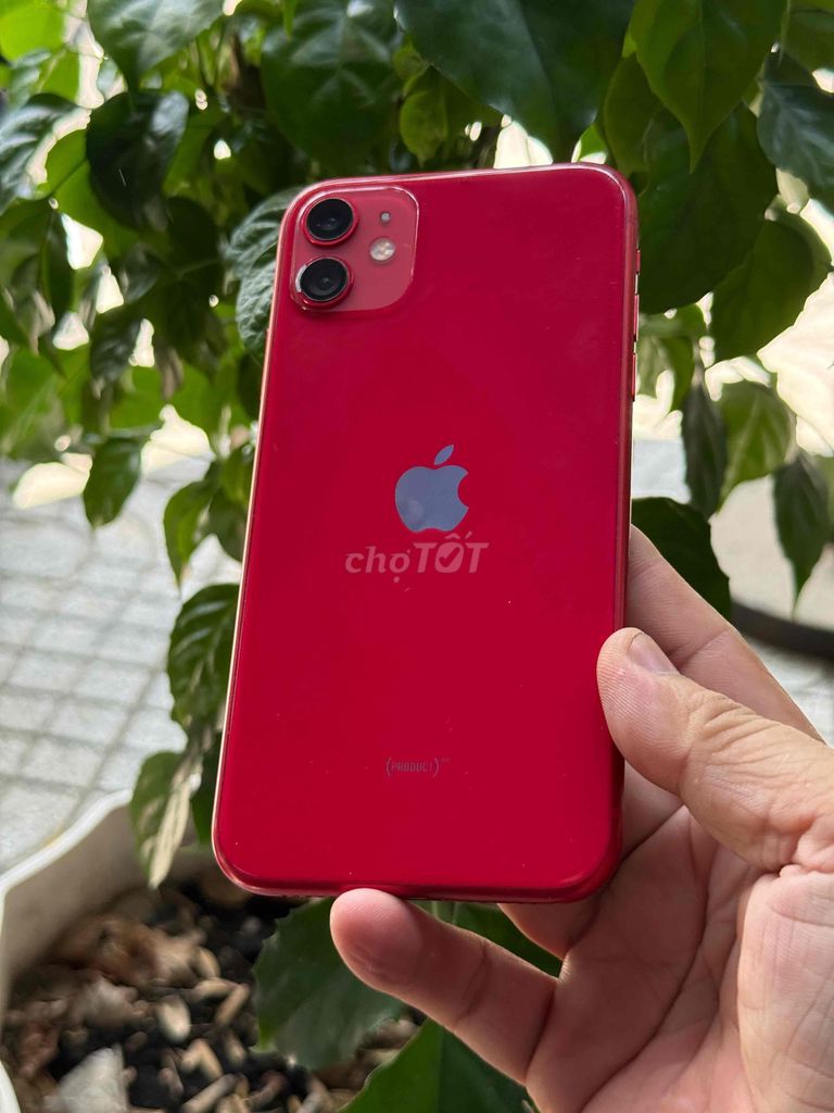 Apple iPhone 11 64GB Đỏ 100%. Mua bán Điện thoại tại Huyện Hóc Môn Tp Hồ Chí Minh được đăng bởi Sonle hình 1
