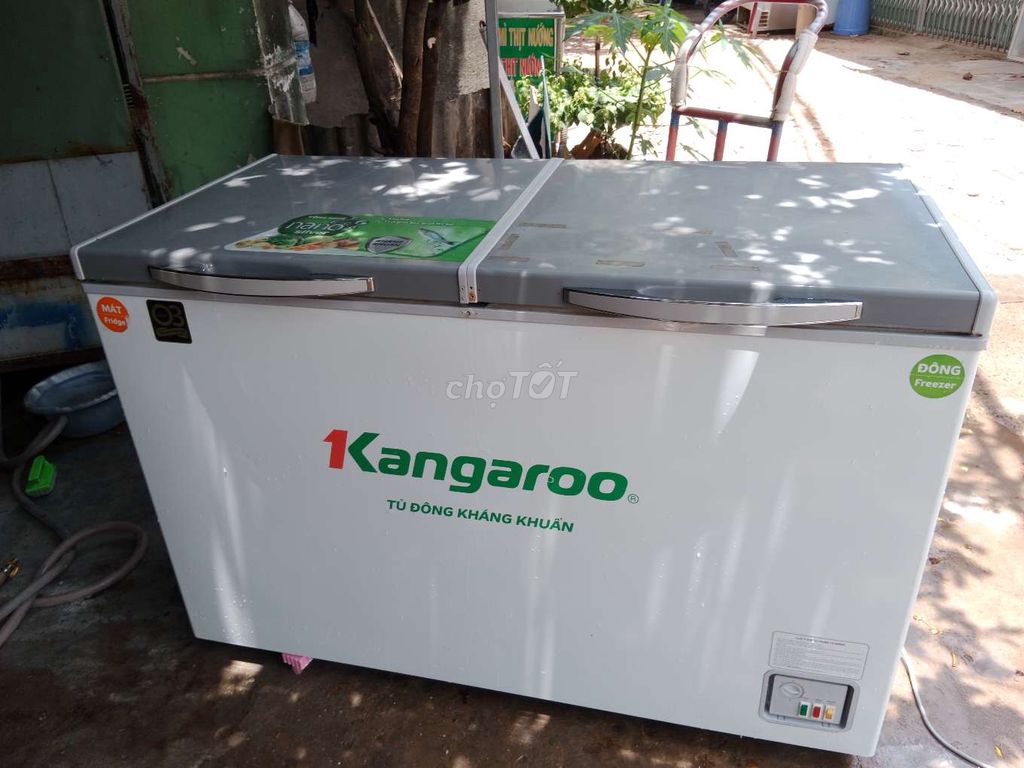 500 lít tủ đông mát kangaroo đẹp như hình