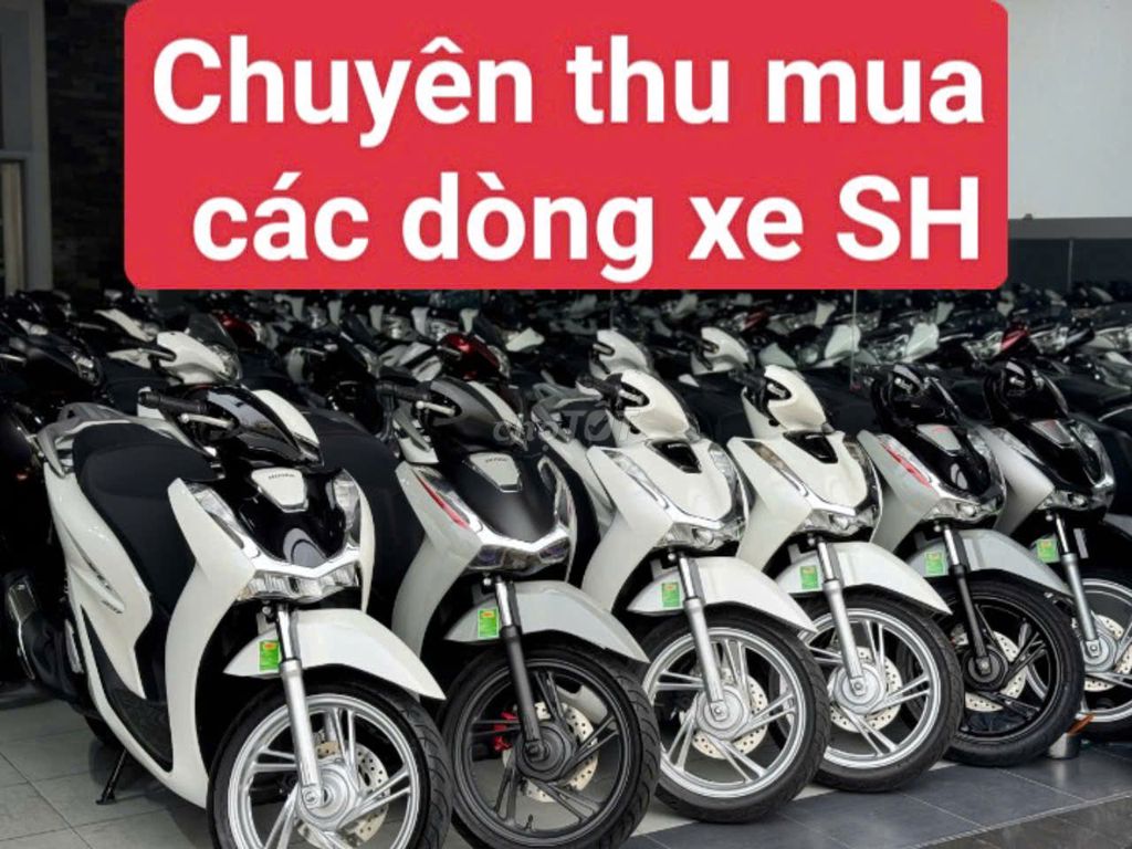 CHUYÊN THU SH CŨ TẬN NHÀ, GIÁ CAO