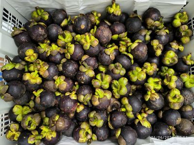 Măng cụt Thái Lan 1kg