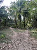 Hoà