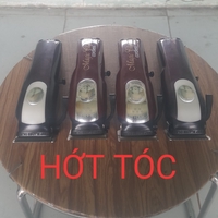 TRƯƠNG HỚT TÓC 