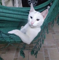 Tuấn