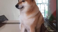 Master Phạm